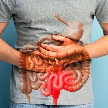 NEXOVA™  - GUT SUPPORT CAPSULE