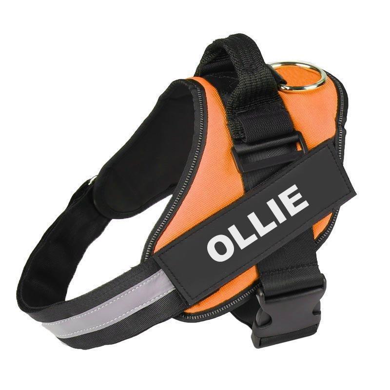 NEXOVA™   - CUSTOM FIT NO-PULL DOG HARNESS
