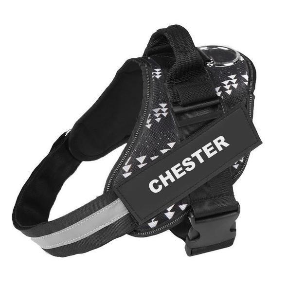 NEXOVA™   - CUSTOM FIT NO-PULL DOG HARNESS