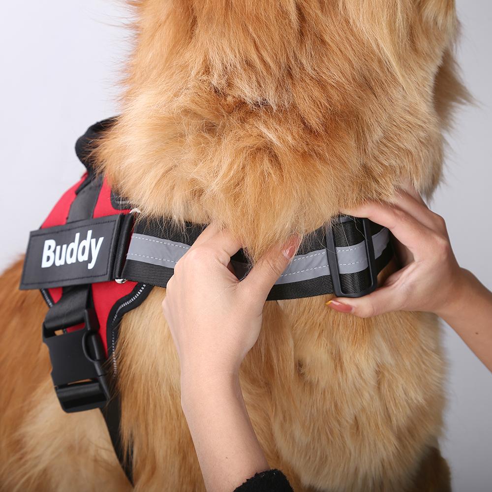 NEXOVA™   - CUSTOM FIT NO-PULL DOG HARNESS