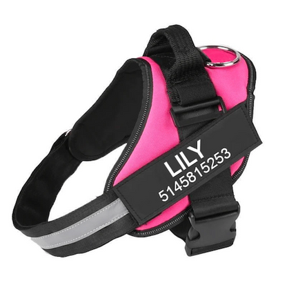 NEXOVA™   - CUSTOM FIT NO-PULL DOG HARNESS